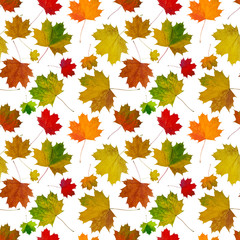Naklejka na ściany i meble seamless pattern autumn maple leaves on a white background