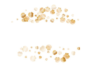 Gold seashells vector, golden pearl bivalved mollusks. 
