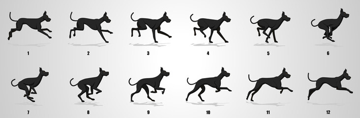 Great Dane Dog Run cycle animation sequence - obrazy, fototapety, plakaty