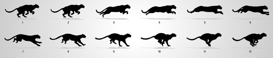 Cheetah run cycle animation sequence - obrazy, fototapety, plakaty