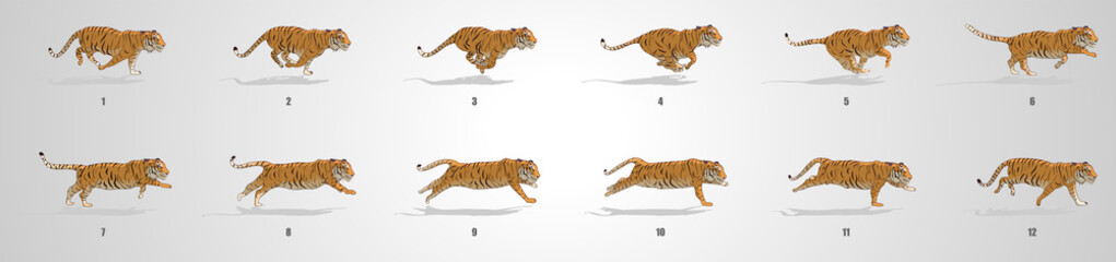 Tiger run cycle animation sequence © AryanRaj