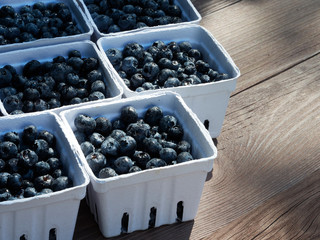 Small baskets of farmers market ready pints, 550ml, of freshly picked blueberries on a garden work table in the sunshine