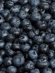 Fresh blueberries closeup