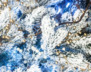 White hoarfrost on tree branches