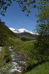 fiume montagna verde natura bellezza 