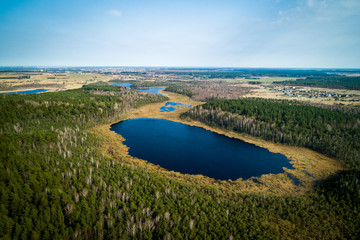 Lake And Forest Landscape Panorama
