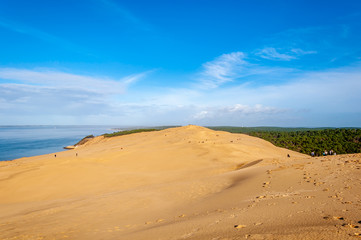 The Dune du Pilat of Arcachon in France, the highest sand dunes in Europe: paragliding, oyster cultivation, desert and beach.