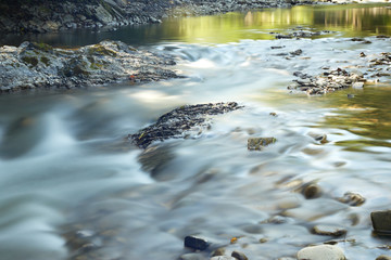 stream in the forest