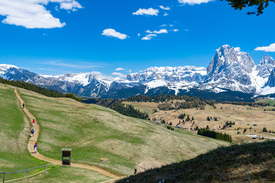 Hikers walking on the highest plateau alpine meadow in Europe, Alpe di Siusi in Ortisei, Dolomites, Italy.