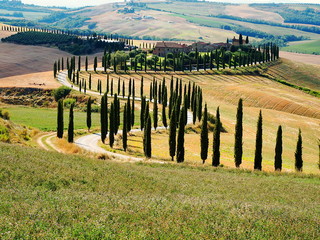 Obraz premium Tuscany, landscape of the Crete Senesi with cypresses along the road that leads to the farm in the background