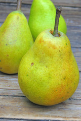Group of pear