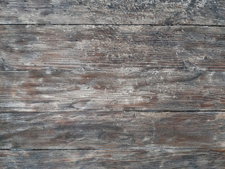 Autumn photo of garden and free space for your decoration 