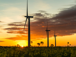 Obraz premium Wind turbines at sunrise in the English countryside with a dramatic sky