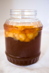 Kombucha superfood pro biotic beverage