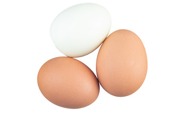 Chicken eggs