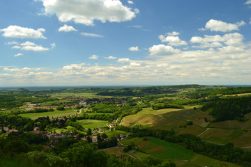 Fototapeta na wymiar Vignoble français de Château-Chalon en Bourgogne-Franche-Comté dans le Jura