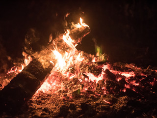 bonfire and hot coals close up