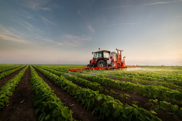 Tractor spraying soybean field