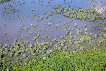 Obraz na płótnie Canvas Aerial footage of flooded floodplain in Lonjsko polje, Croatia