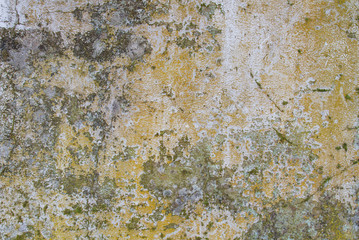Detail of old distressed wall 