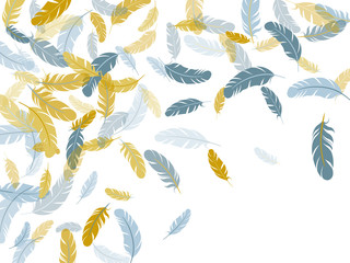 Detailed majestic feather on white design.