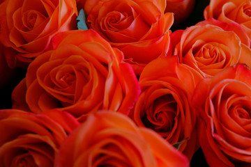 Bouquet of red roses, top view, background.