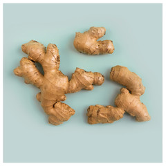 Pattern of fresh ginger on blue background. Minimalistic flat lay concept. Healthy organic food.