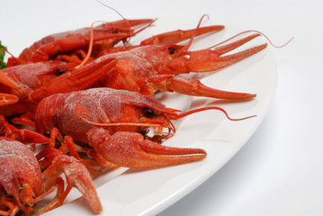 Red boiled crayfish on a plate isolated on a white background.