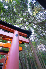 Kyoto Travel : Landscape of Fushimi-Inari Taisha