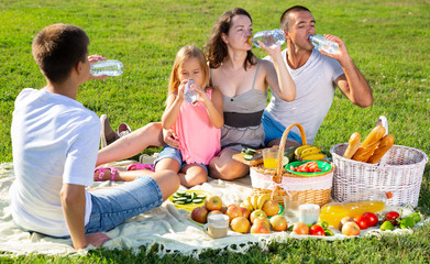 Happy young parents with two teenagers having a picnic on the countryside