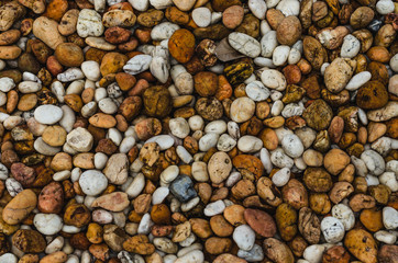 pebbles on the beach