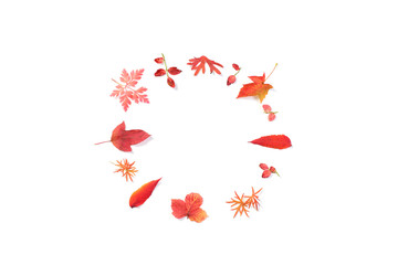 red autumn leaves isolated on white background