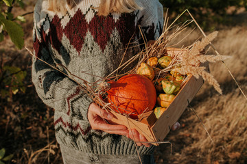 Woman holding wooden box with pumpkin and squash. Blond hair girl harvesting in outdoor nature. Organic food. Autumn season. Fall color, orange and yellow. Pumpkin day, Thanksgiving and Halloween