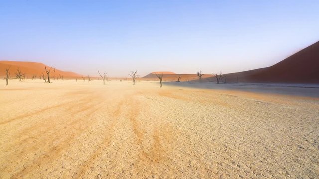 Dead trees at Deadvlei in the Namib desert in Namibia, Africa.