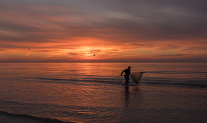 pêche crevette 