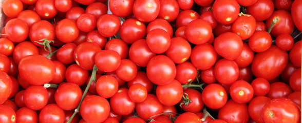 Strauchtomaten auf dem Wochenmarkt