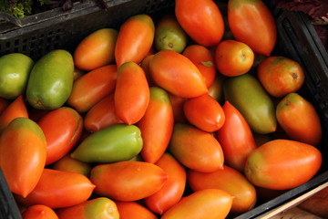 rote und grüne spitze Tomaten auf ddem Wochenmarkt