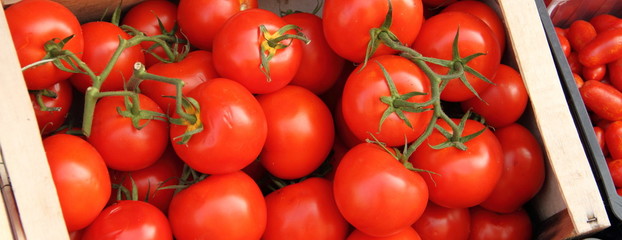 Strauchtomaten auf dem Wochenmarkt