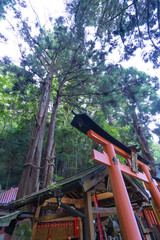 Kyoto Travel : Landscape of Fushimi-Inari Taisha