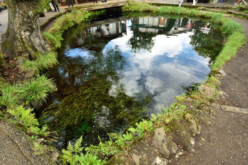 Fototapeta na wymiar Photo of a pond in Oshino Village