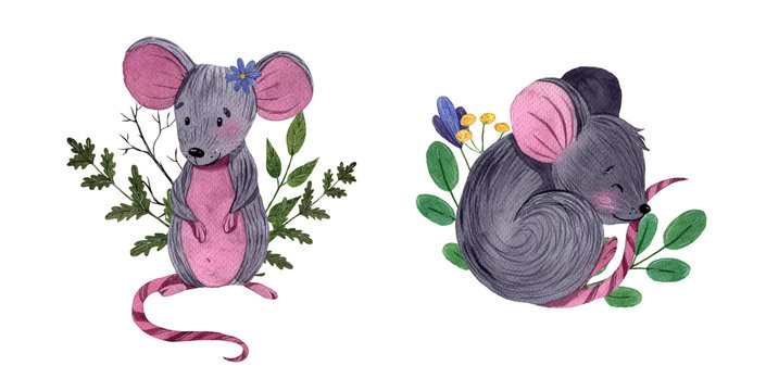 Watercolor set of cute little mouses with floral elements. Hand painted illustration isolated on white background