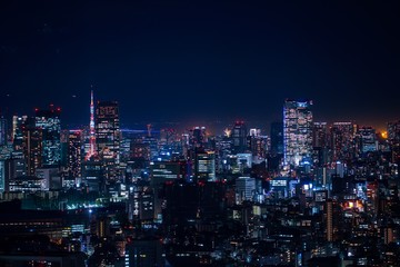 Fototapeta na wymiar 光の海東京