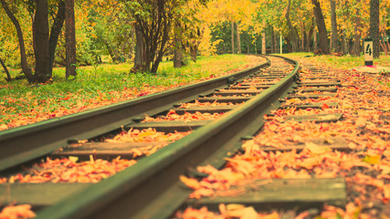 Naklejka na ściany i meble Railway in the beautiful autumnal forest