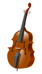 acoustic plucked musical instrument - double bass	