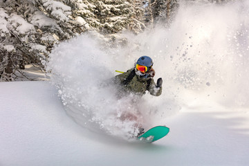 female snowboarder curved and brakes spraying loose deep snow on the freeride slope. downhill with...