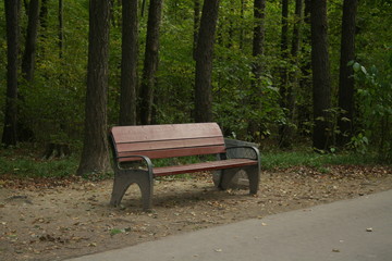 empty bench in the park
