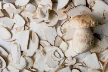 Porcini mushrooms or Boletus Edulis, edible fungi, fresh, picked in the forest, cut into slices ready to be cooked, Trentino, Italy