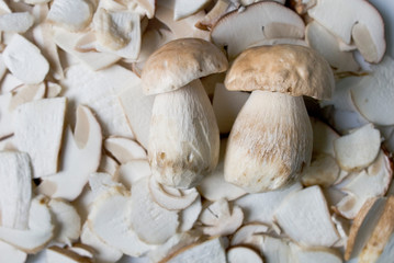 Porcini mushrooms or Boletus Edulis, edible fungi, fresh, picked in the forest, cut into slices ready to be cooked, Trentino, Italy