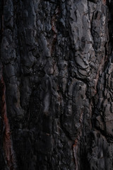 Old wooden background. Abstract wood texture background.