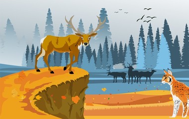 landscapes of wildlife in winter. Deer in wildlife scene, with field, grass, forests, vector